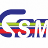 سیستم جهانی ارتباطات سیار GSM